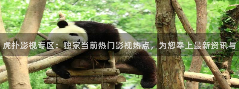 草草欧美影院