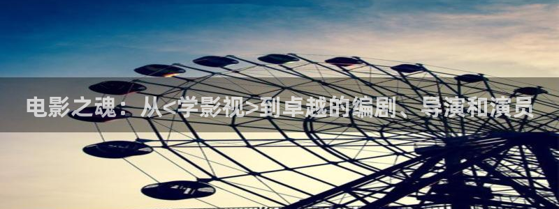 秋霞欧美影院：电影之魂：从<学影视>到卓越的编剧、导演和演员