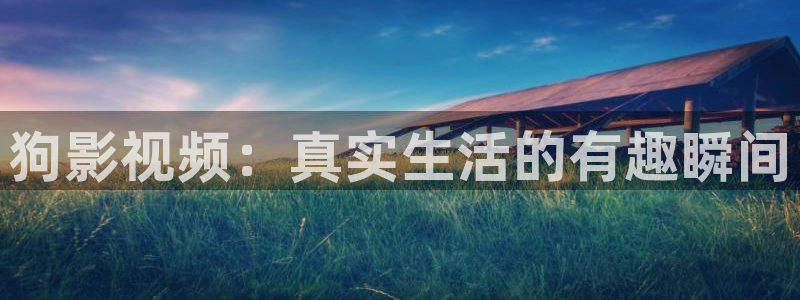 优优色在线欧美影院：狗影视频：真实生活的有趣瞬间