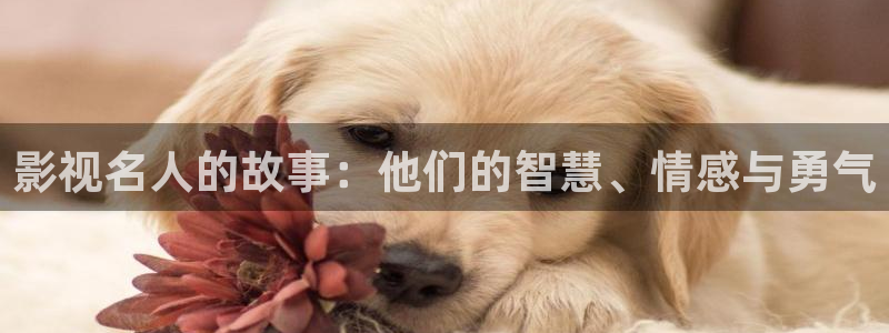欧美影院在线免费观看：影视名人的故事：他们的智慧、情感与勇气