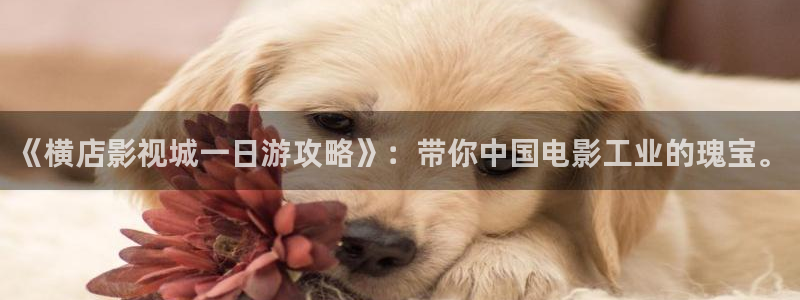 欧美影院草草影院：《横店影视城一日游攻略》：带你中国电影工业的瑰宝。