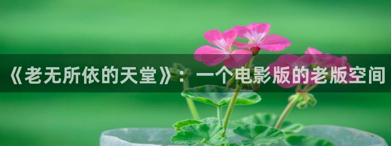 四虎欧美影院